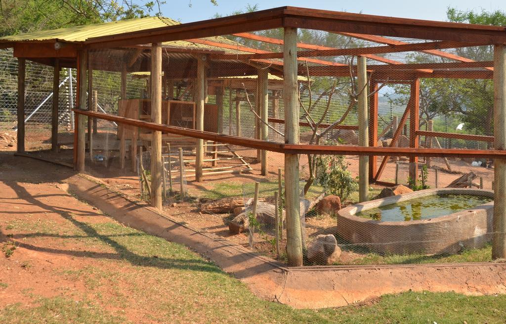 Ebundu Lodge White River Exterior foto